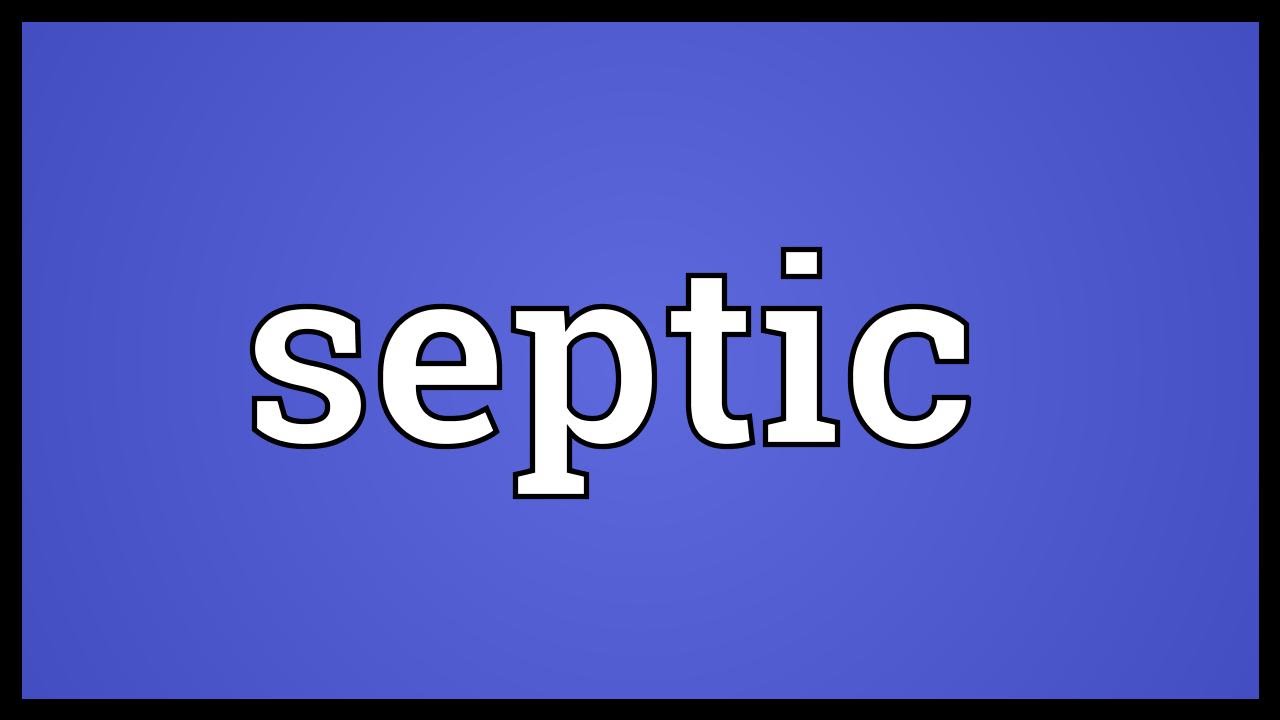 Septic Meaning