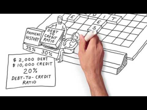 What's the difference between a credit report and a credit score