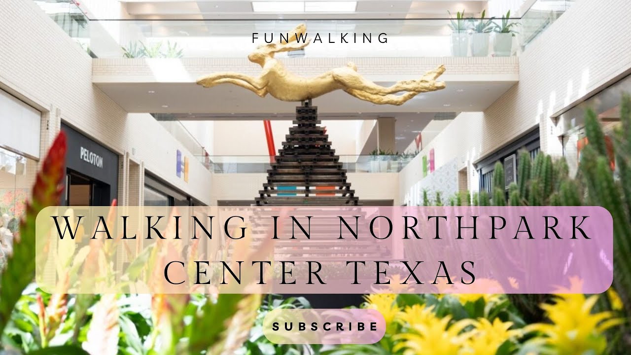 Walking at NorthPark Center • One of the Most Beautiful Malls in Dallas!