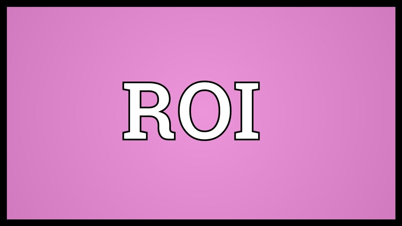 ROI Meaning