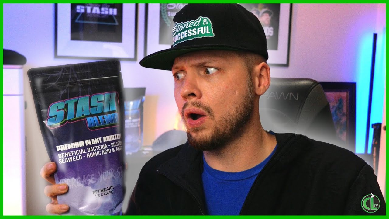 Everything You Need to Know About Stash Blend