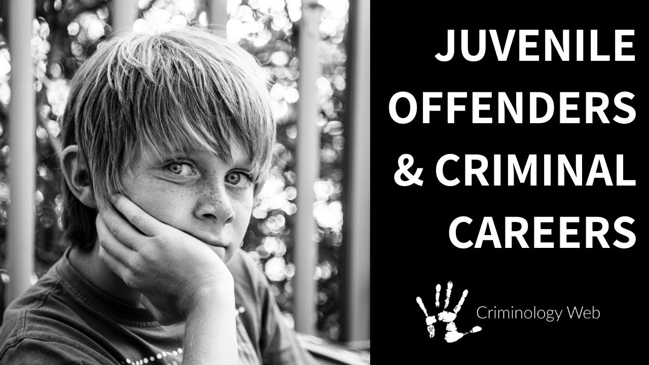 Juvenile Delinquency: Two Types of Criminal Careers