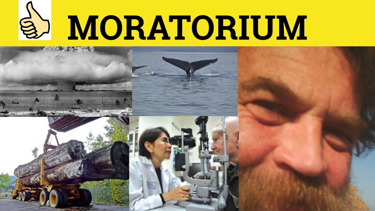 🔵 Moratorium - Moratorium Meaning - Moratorium Examples - Legal English