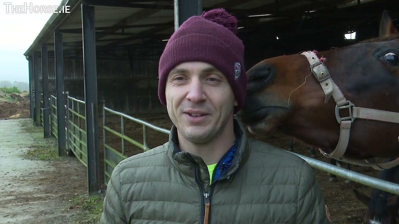 Kevin Doyle- Broodmares