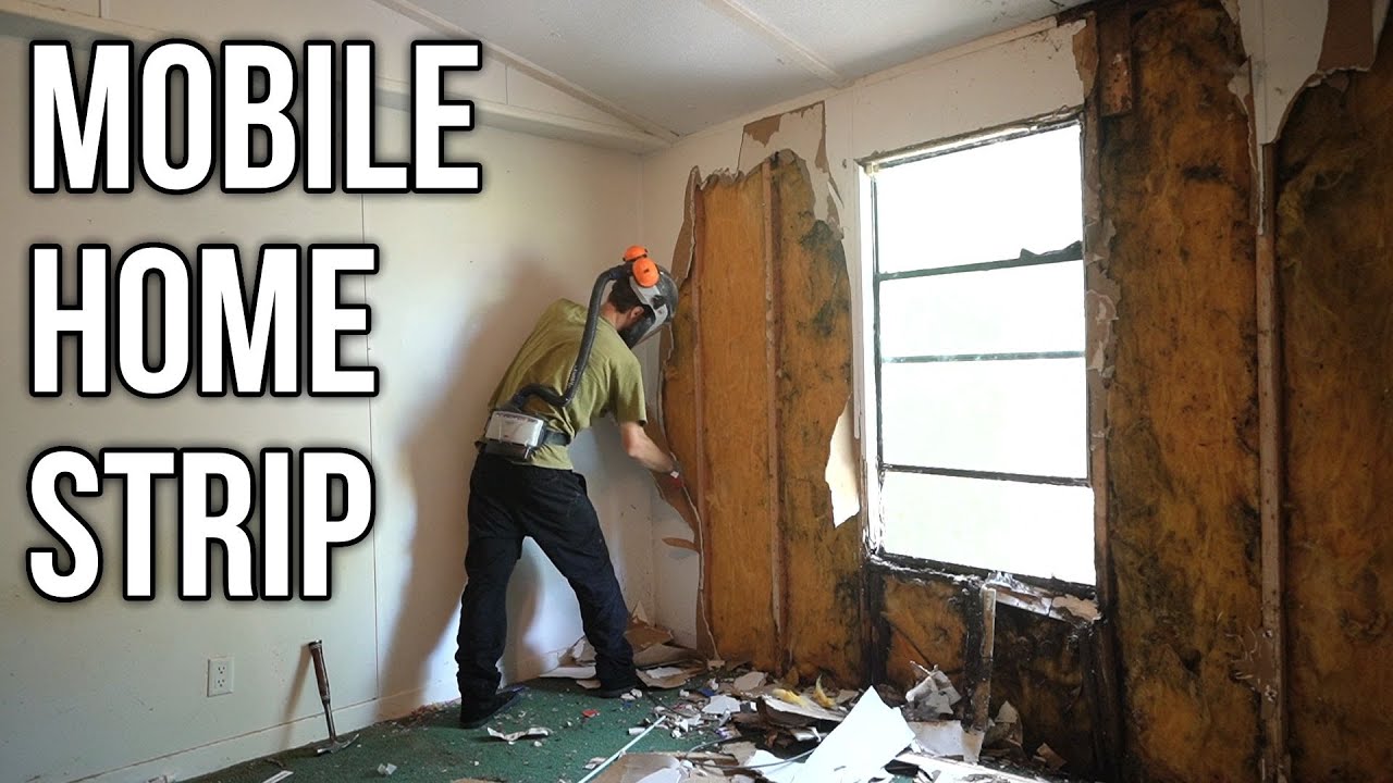 Gutting it Down to the Studs - 1984 Mobile Home Rot and Mold Found