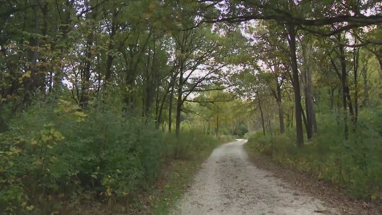 Human remains found in Waterfall Glen Forest Preserve