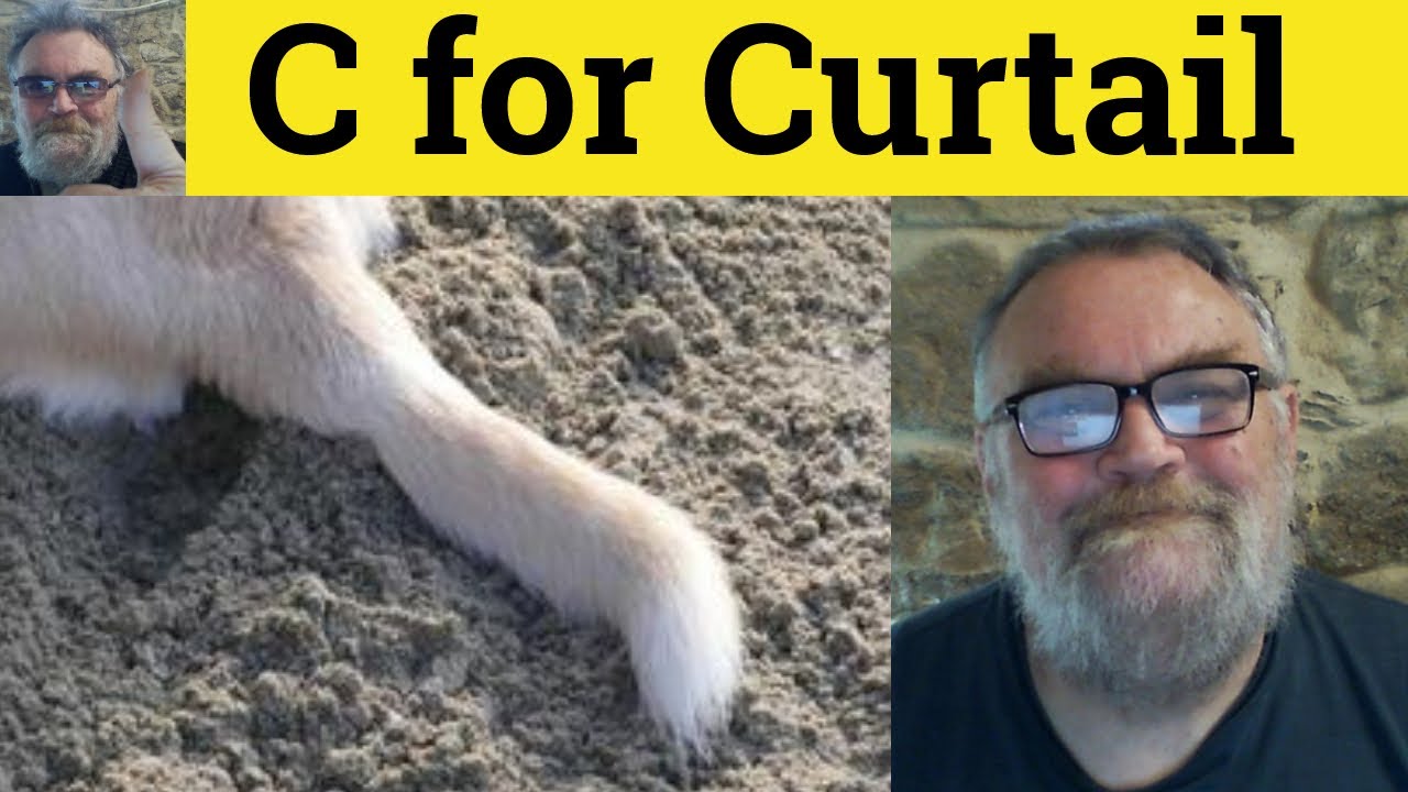 🔵 C is for Curtail - Curtail Meaning - Curtail Examples - Curtail in a Sentence - 501 Synonyms