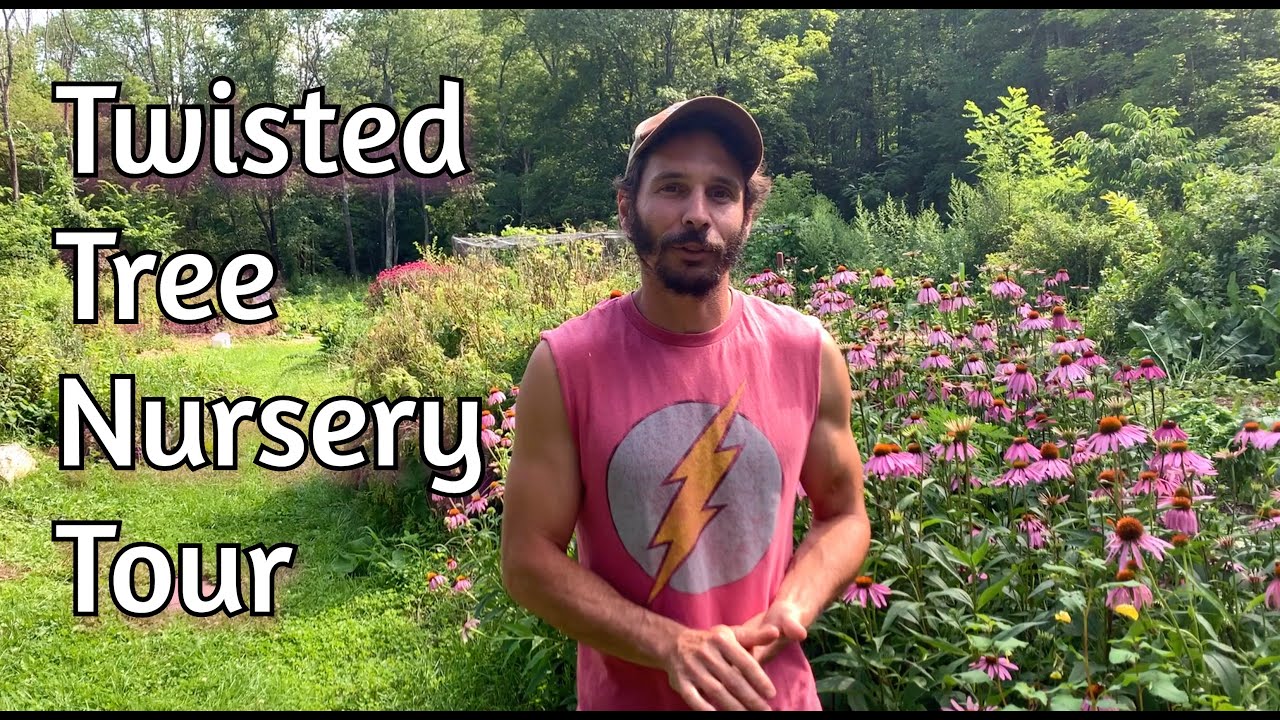 Twisted Tree Nursery - Full Tour