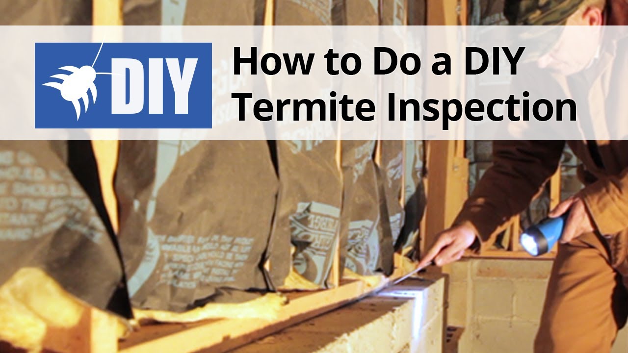How to Do A Termite Inspection