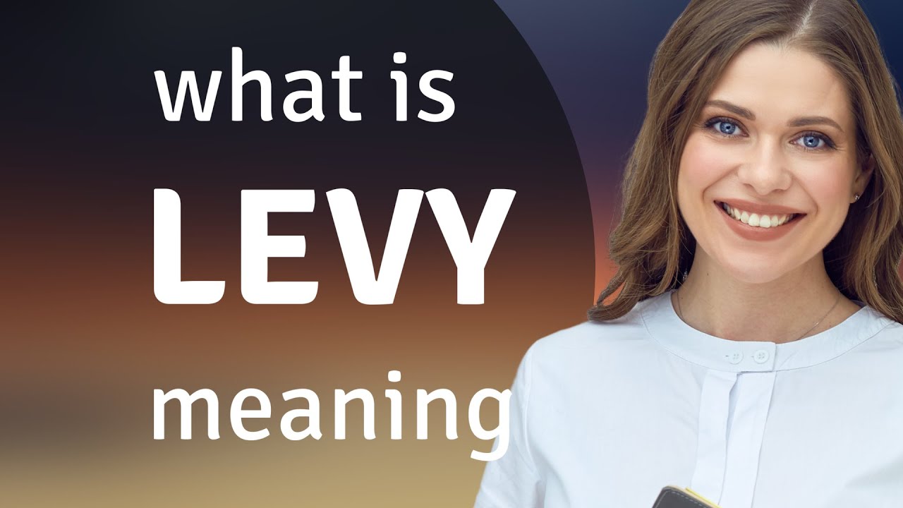 Levy — what is LEVY meaning