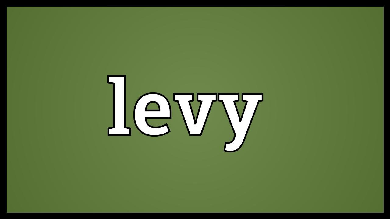 Levy Meaning