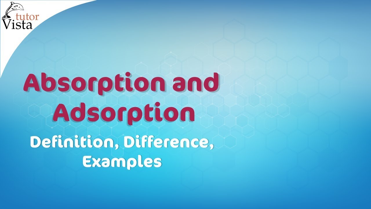 Absorption and Adsorption - Definition, Difference, Examples