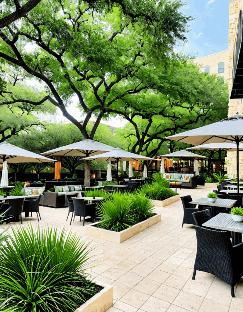 Oasis Austin Oasis Austin