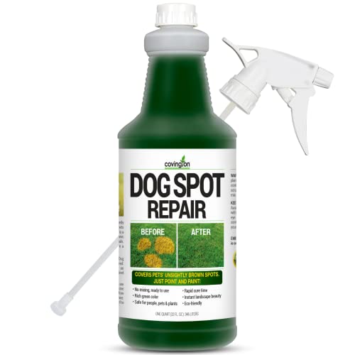 Covington Pre Mixed Green Grass Paint For Lawn   Perfect Grass Color Fix For Dog Urine Spots Or Brown Patches   Green Grass Spray Paint For Lawn & Turf   Just Point & Spray   (Fl. Oz.)