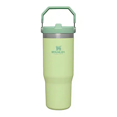 Stanley Iceflow Stainless Steel Tumbler With Straw   Vacuum Insulated Water Bottle For Home, Office Or Car   Reusable Cup, Leakproof Flip  Cold For Hours Or Iced For Days (Citron), Oz