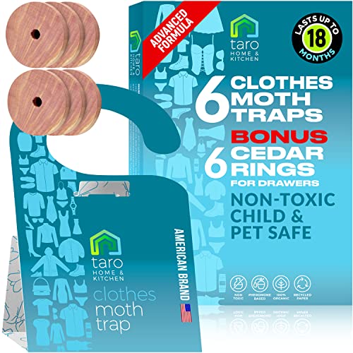 Clothes Moth Traps with Pheromones and Free Cedar Blocks Moth Repellent   Moth Traps for Clothes   Clothing Moth Traps with Pheromones   Closet Moth Traps for House   How to Get Rid of Moths in House