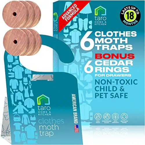Clothes Moth Traps With Pheromones And Free Cedar Blocks Moth Repellent   Moth Traps For Clothes   Clothing Moth Traps With Pheromones   Closet Moth Traps For House   How To Get Rid Of Moths In House