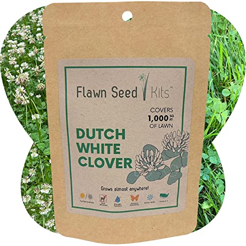 Flawn Seed Dutch White Clover Seed, Flowering Lawn, Kid, Pet, Pollinator, Eco Friendly, Grass Alternative, Ground Cover, Easy To Use & Cost Effective, Compostable Pouch, Cover