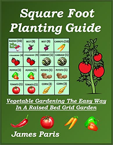 Square Foot Planting Guide Vegetable Gardening The Easy Way   In A Raised Bed Grid Garden