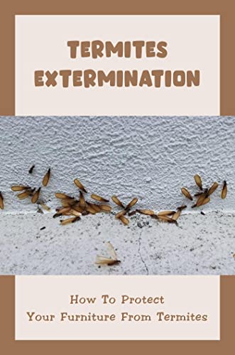 Termites Extermination How To Protect Your Furniture From Termites