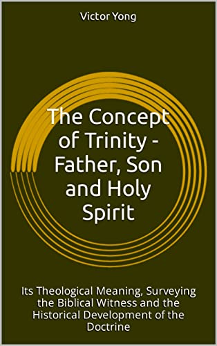 The Concept Of Trinity   Father, Son And Holy Spirit Its Theological Meaning, Surveying The Biblical Witness And The Historical Development Of The Doctrine