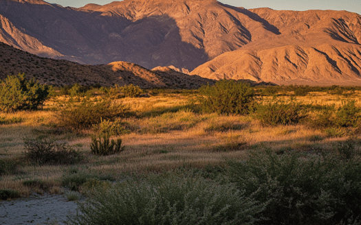 Borrego Springs