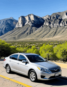 alamo rental car