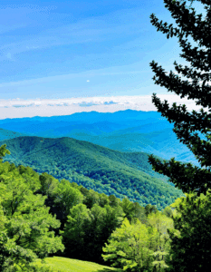 asheville craigslist