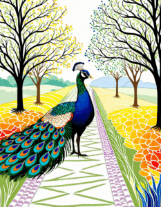 peacock plans